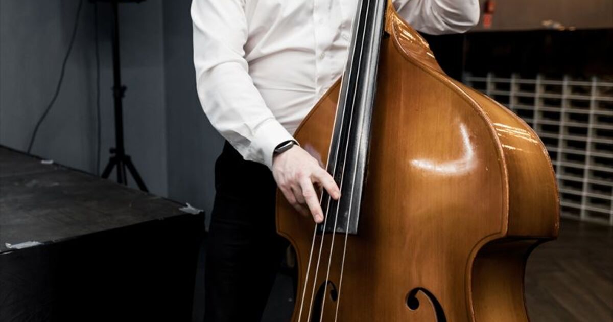 エンドピンの特徴について | コラム | 葛飾区でコントラバスなら