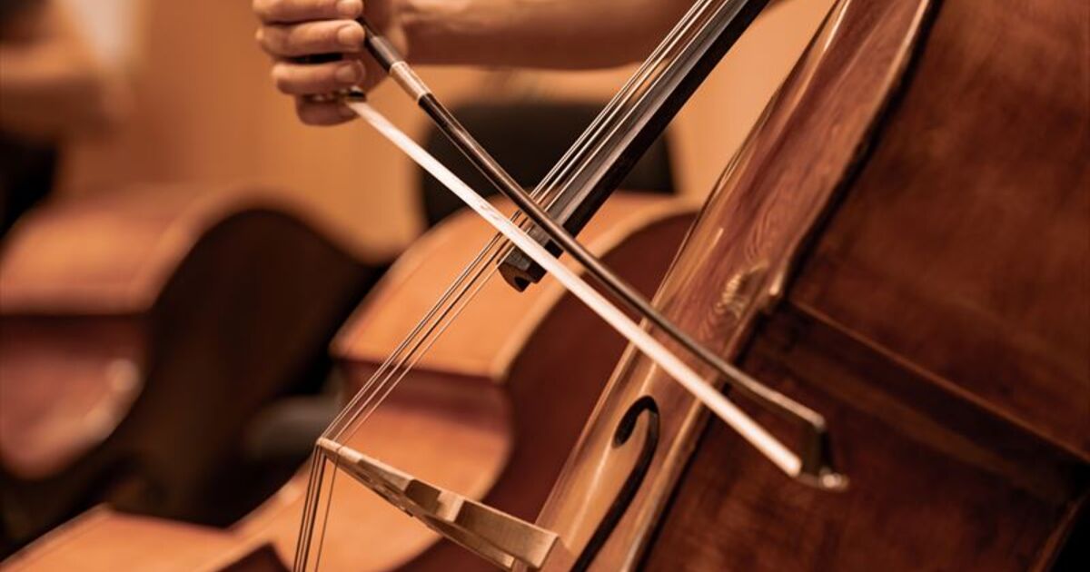 【新品同等品】コントラバス　オーケストラ弦